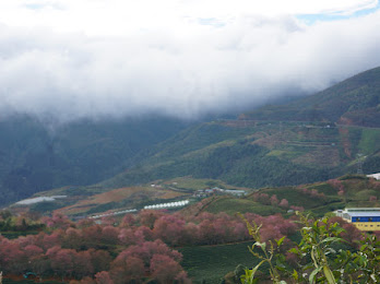 1rzb9taK5pnDSbPjX3smdJ8tHrKQrh3pMw348 h260 p k nu iv1 | LIM Vietnam Travel