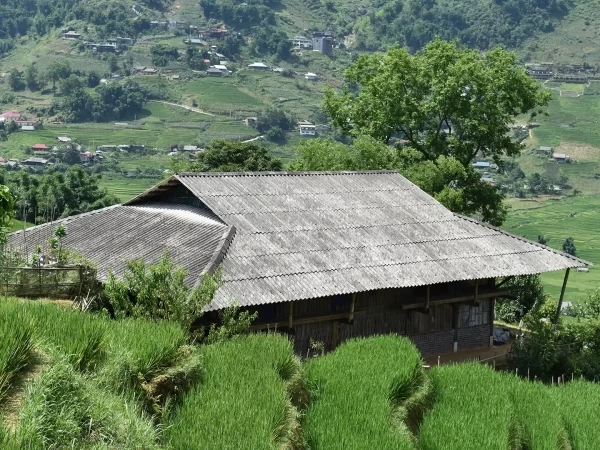 1 day easy trekking in sapa 10 | LIM Vietnam Travel