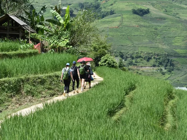 1 day easy trekking in sapa 11 | LIM Vietnam Travel
