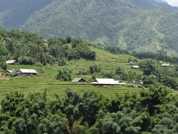 1 day easy trekking in sapa 12 | LIM Vietnam Travel