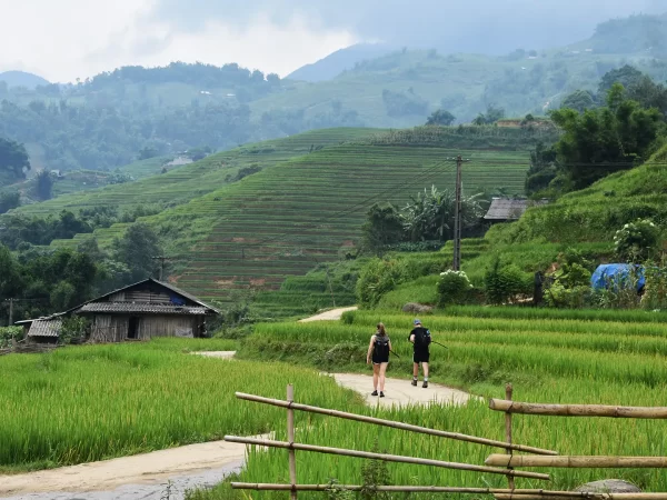 1 day easy trekking in sapa 15 | LIM Vietnam Travel