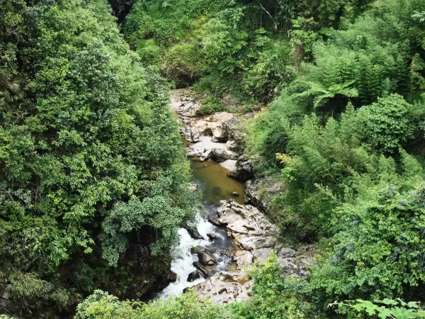 1 day easy trekking in sapa 19 | LIM Vietnam Travel