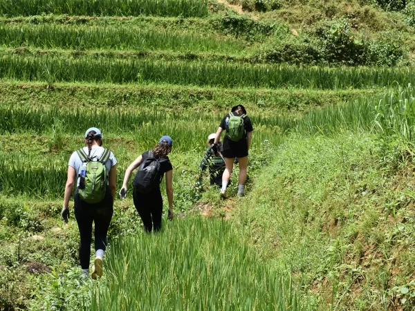 1 day easy trekking in sapa 2 | LIM Vietnam Travel