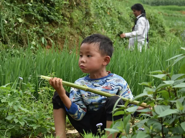 1 day easy trekking in sapa 20 | LIM Vietnam Travel