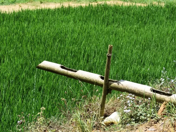 1 day easy trekking in sapa 22 | LIM Vietnam Travel