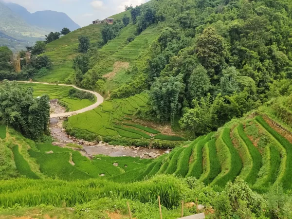 1 day easy trekking in sapa 24 | LIM Vietnam Travel