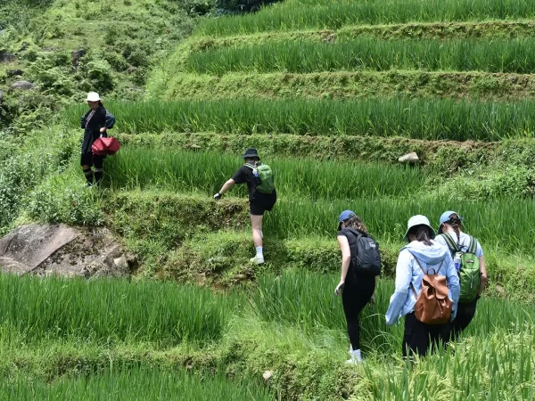 1 day easy trekking in sapa 3 | LIM Vietnam Travel