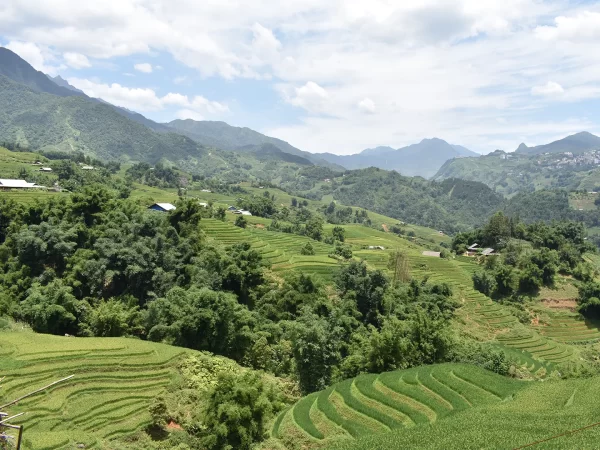 1 day easy trekking in sapa 4 | LIM Vietnam Travel