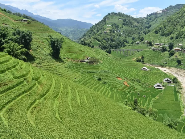 1 day easy trekking in sapa 6 | LIM Vietnam Travel