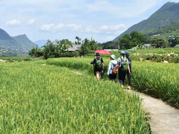 1 day easy trekking in sapa 7 | LIM Vietnam Travel