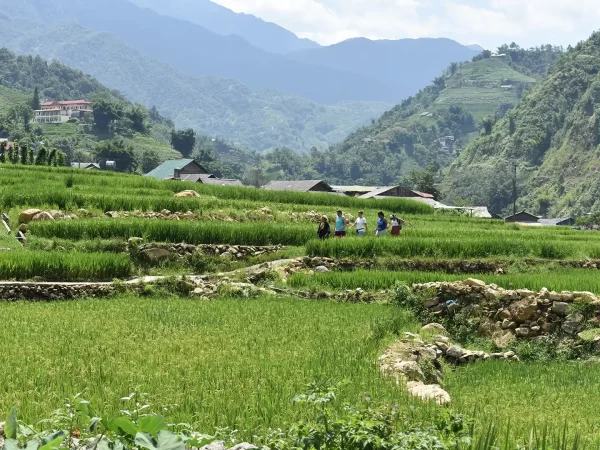 1 day easy trekking in sapa 8 | LIM Vietnam Travel