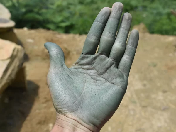 1 day moderate trekking in sapa 13 | LIM Vietnam Travel