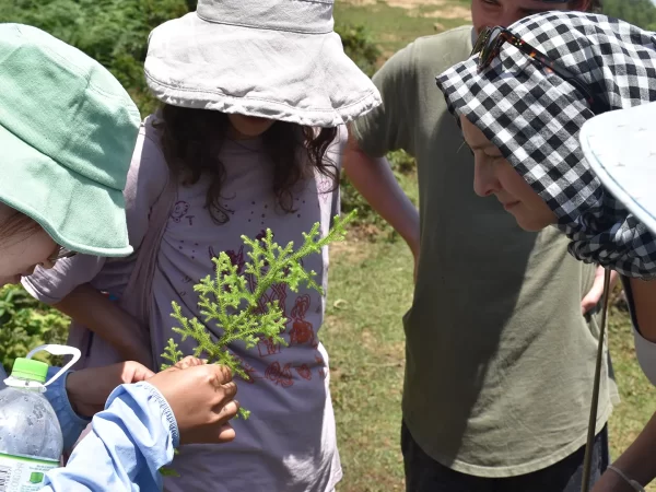 1 day moderate trekking in sapa 17 | LIM Vietnam Travel