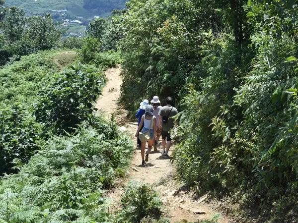 1 day moderate trekking in sapa 19 | LIM Vietnam Travel