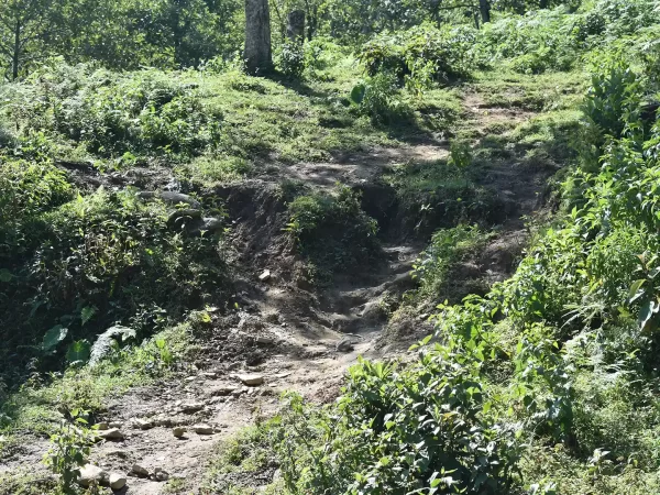 1 day moderate trekking in sapa 29 | LIM Vietnam Travel