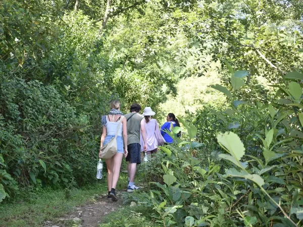 1 day moderate trekking in sapa 30 | LIM Vietnam Travel