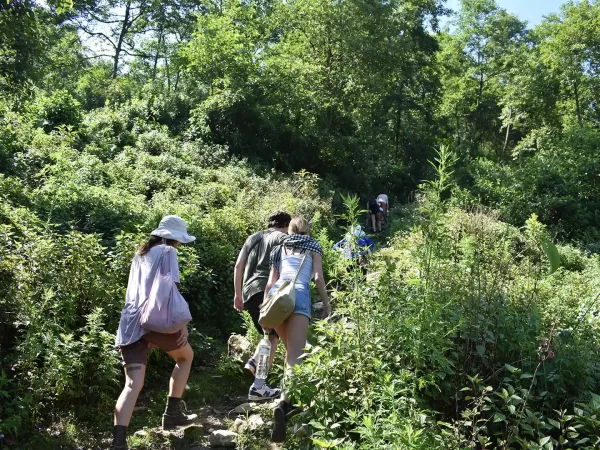 1 day moderate trekking in sapa 31 | LIM Vietnam Travel