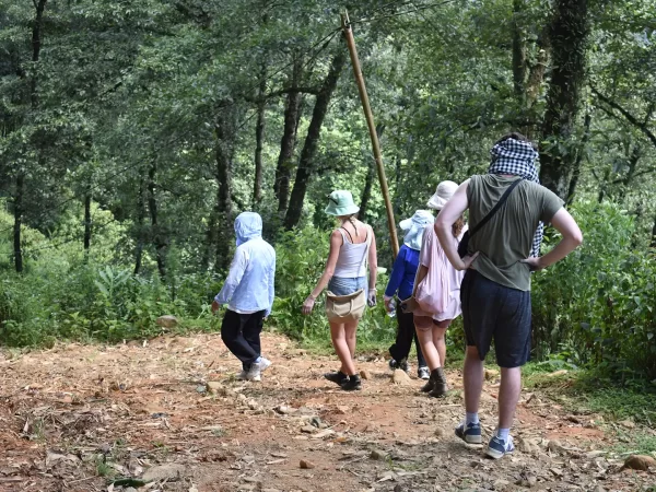 1 day moderate trekking in sapa 6 | LIM Vietnam Travel
