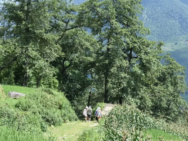 1 day moderate trekking in sapa 7 | LIM Vietnam Travel