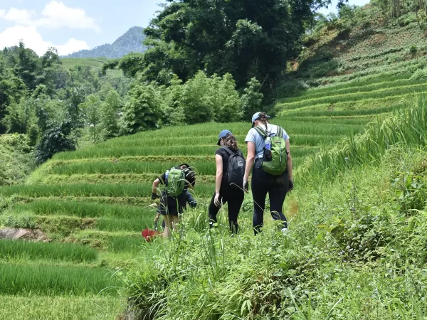 2 days 1 night trekking in sapa 1 | LIM Vietnam Travel