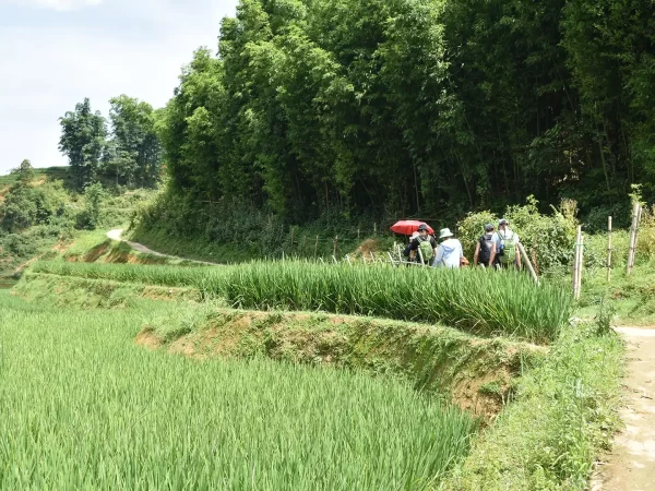 2 days 1 night trekking in sapa 16 | LIM Vietnam Travel