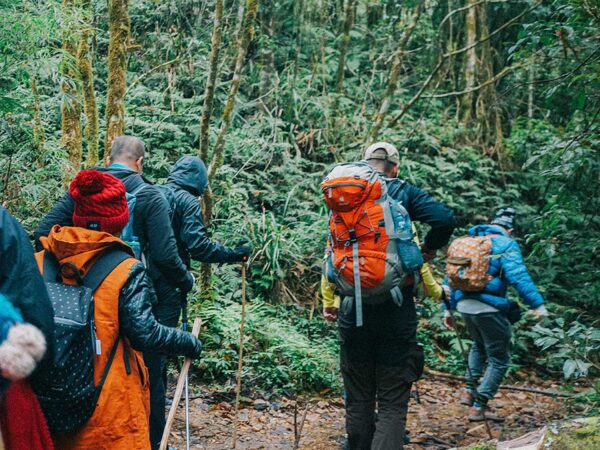 [2 Days 1 Night] Hike Fansipan mountain from Sapa