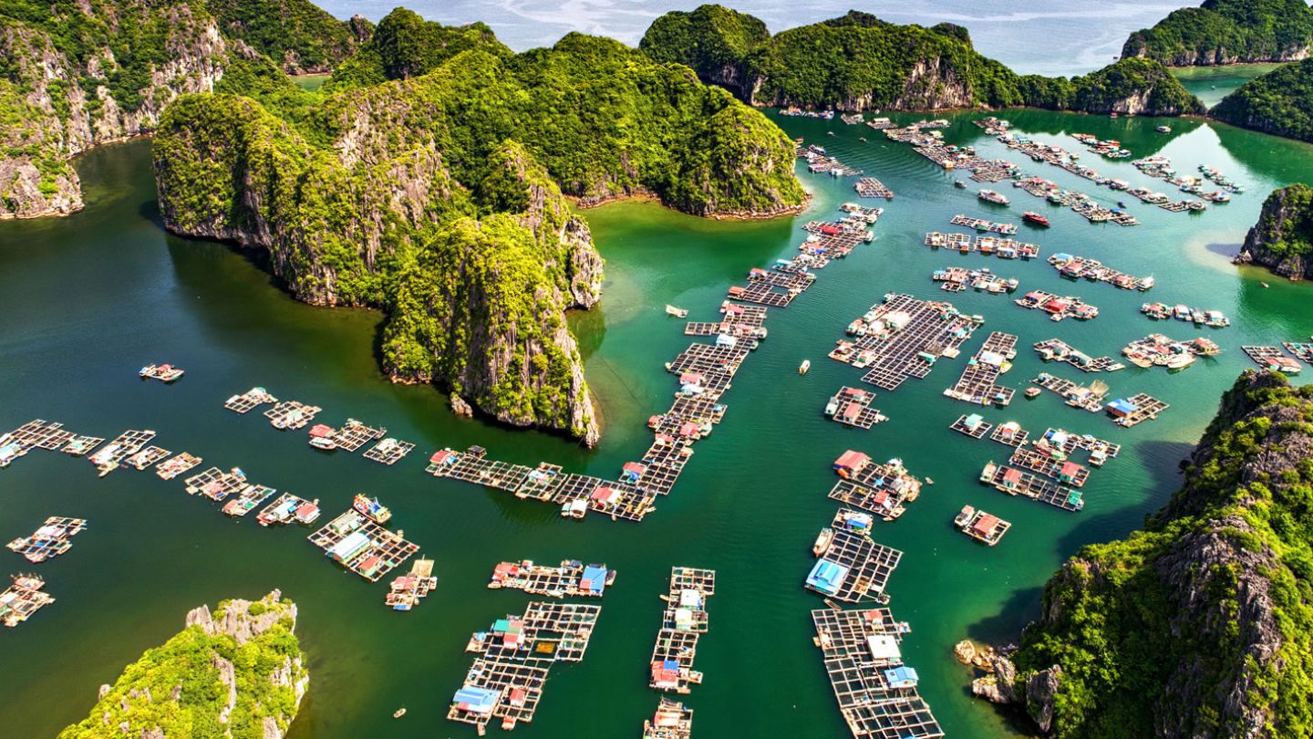 Visiting floating villages on Halong Bay Day Trip