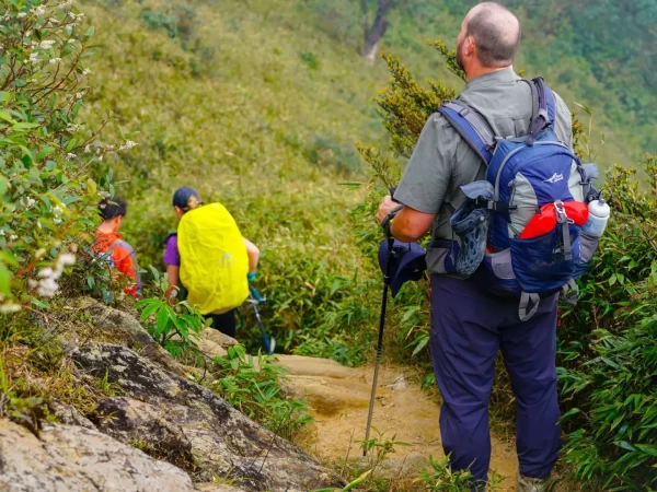 [1 Day] Hike Fansipan Mountain from Sapa with Local Expert