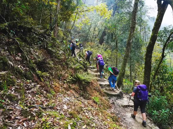 fansipan hiking sapa 3 | LIM Vietnam Travel