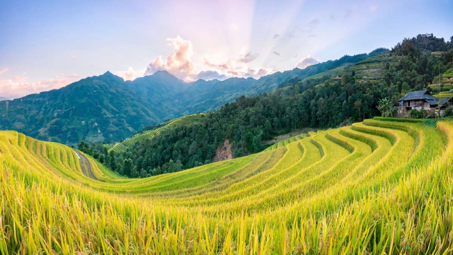 Ha Giang Weather May: Soak Up the Joyous Springtime Sun 7 Plan your trip with Ha Giang weather in May