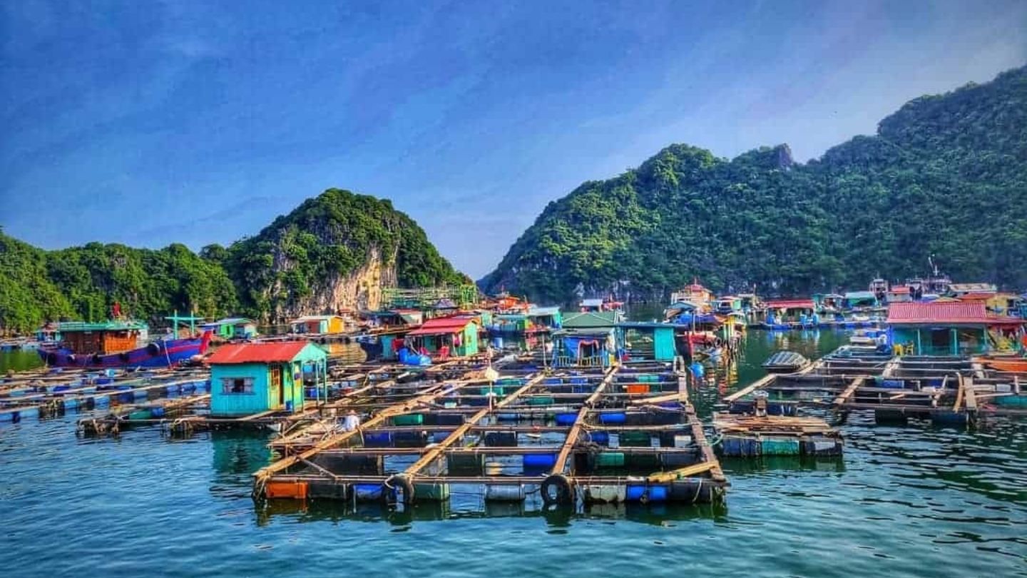 Vibrant landscapes with Halong Bay weather in June