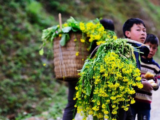 The beauty of Ha Giang's April weather