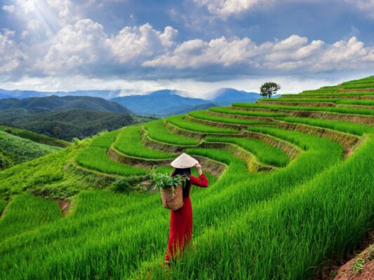 Sapa Weather in March | LIM Vietnam Travel
