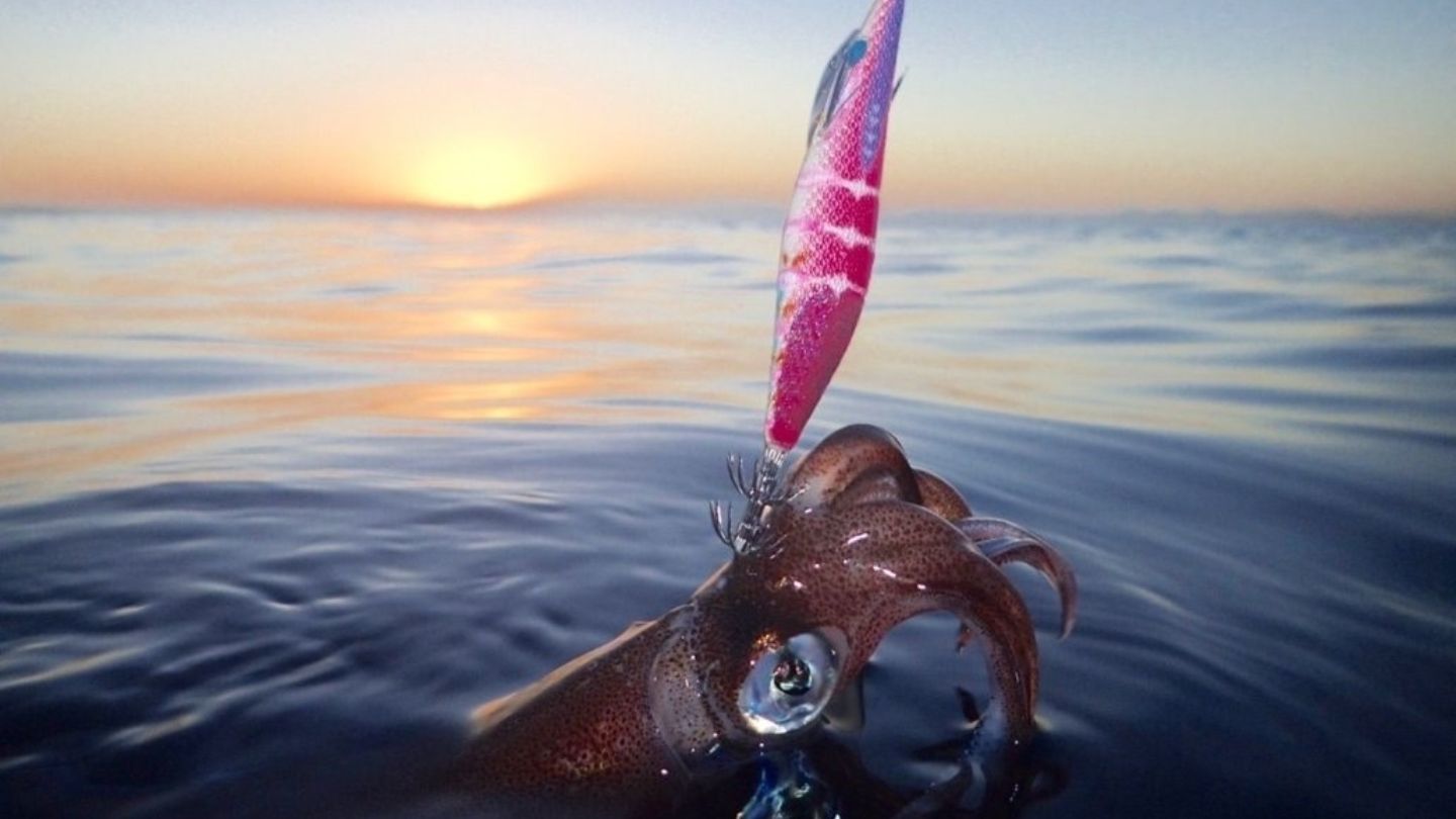 Tropical Halong Bay weather in May days