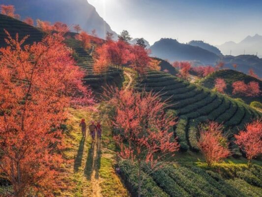 Discover the ideal length for how many days in Sapa Vietnam